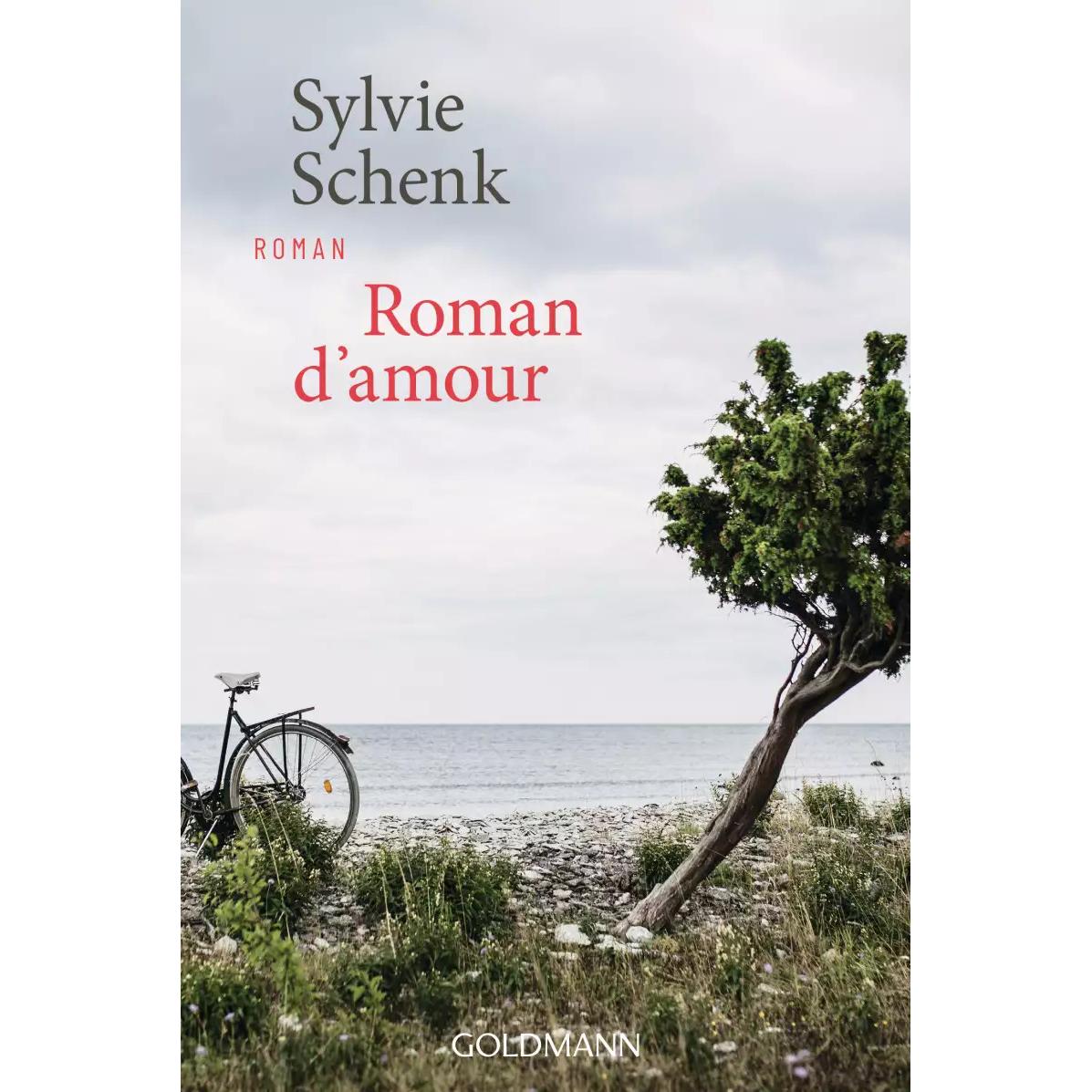 Roman d'amour, Belletristik von Sylvie Schenk
