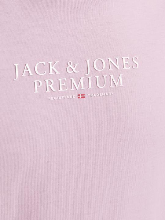 Produktbild Jack & Jones Jprbluarchie Ss Tee Crew Neck Noos (L)