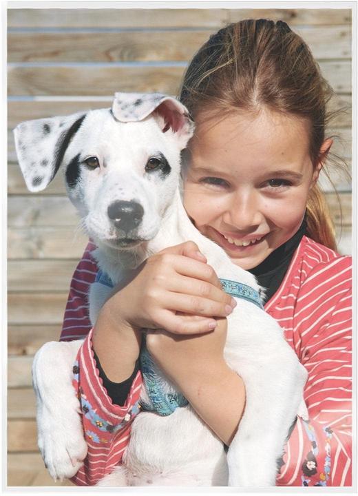 Produktbild Leitz Laminierfolie (A4, 25 Stk., 80 µm)