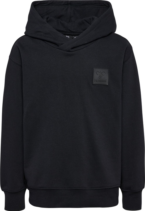 Image du produit hummel hmlCLEAN HOODIE (122)