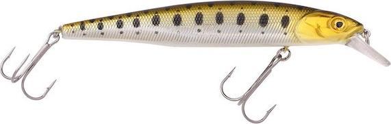 Gold Trout