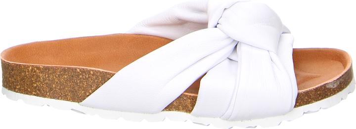 Actual product image Verbenas Rainbow Blanco (41)