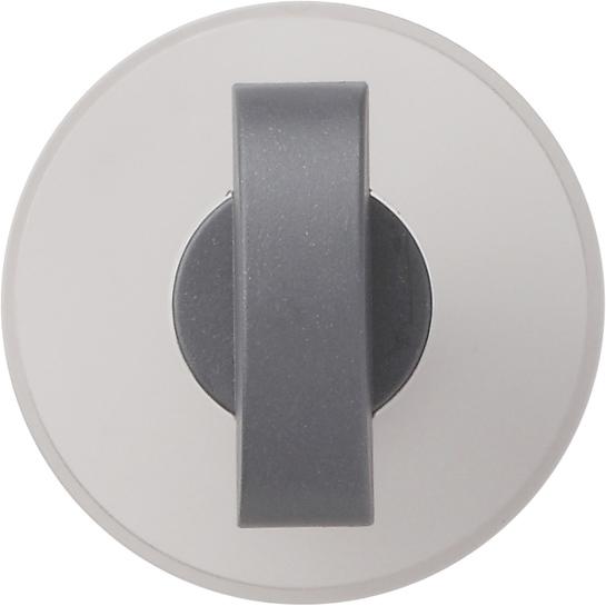 Gira Knebel System 55 Anthrazit 146628, Taster + Schalter, Grau