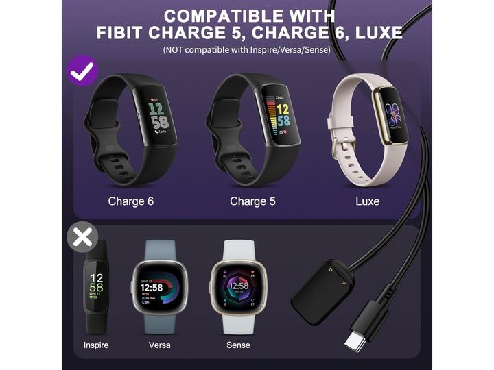 Image du produit PowerGuard Fitbit USB-C Ladekabel Charge Cable