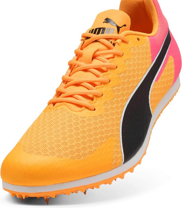 Image du produit Puma evoSPEED Star 9 (43)