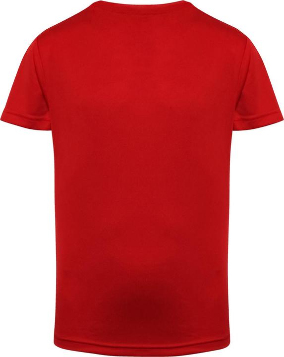 Produktbild Tri Dri Performance TShirt (116)