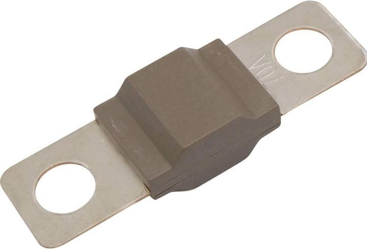 Actual product image Tru Components TC-13545888 Sicherung 70 A 80 V/DC Inhalt 10 St. Bulk (70 A)
