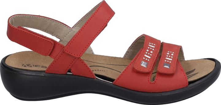 Actual product image Westland 16786-96 (36)