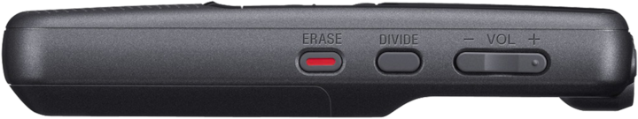 Image du produit Sony Icd-Px240 (4 Go)