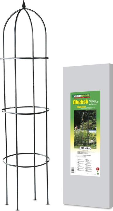 Windhager Arc de roses Obelisk 193x45cm (194 cm, 45 cm)