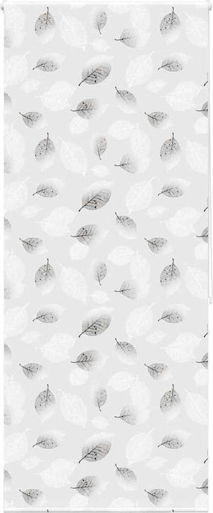 Produktbild vidaXL Duschrollo (100 x 240 cm)