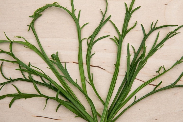 Produktbild Zollinger Bio Hirschhornwegerich (Herba Stella) (mehrjährig) (Pflanzensamen)