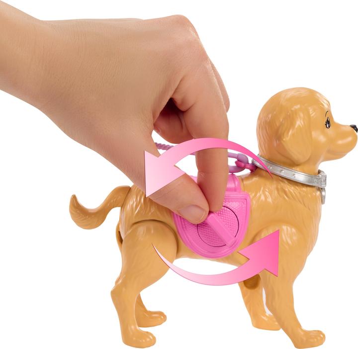 Immagine prodotto Barbie Set da gioco per cani da passeggio Malibu, include bambola, cane per passeggiare e fare la cacca