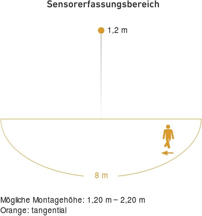 Productafbeelding Steinel 110064184 (8 m)