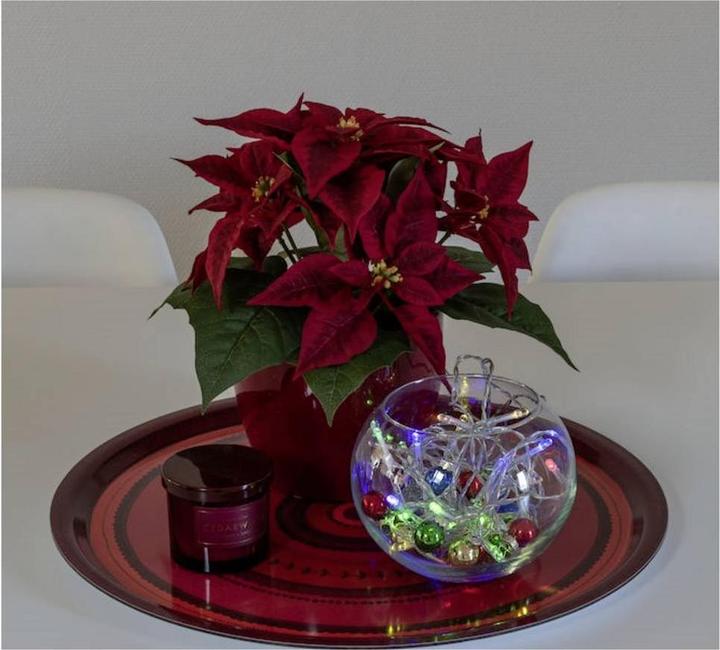 Image du produit Konstsmide Guirlande lumineuse LED avec interrupteur, 30 pièces, à piles (4.35 m)