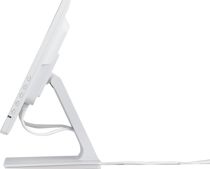 Actual product image iiyama ProLite T2452MSC-W1 (1920 x 1080 pixels, 23.80")