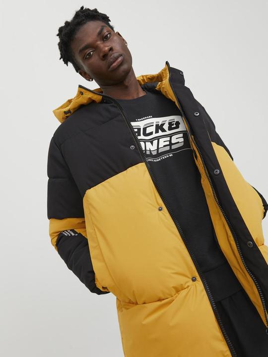 Actual product image Jack & Jones Force (L)