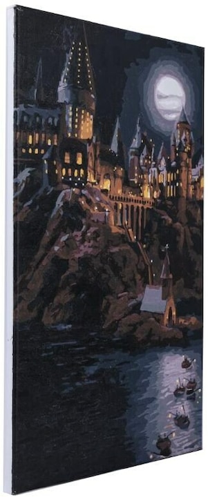 Actual product image Craft Buddy Harry Potter - Paint By Numbers Kit