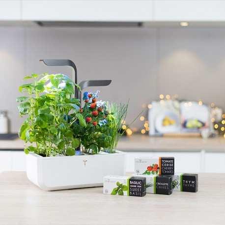 Image du produit Véritable VERITABLE CONNECT Indoor Garden gold incl. 4 packs (33 cm)