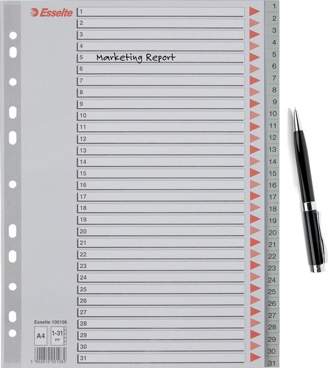 Actual product image Leitz Esselte plastic registers, numbers, A4, 1-31, grey 31-part, PP, 0,12 mm, with writable coverb