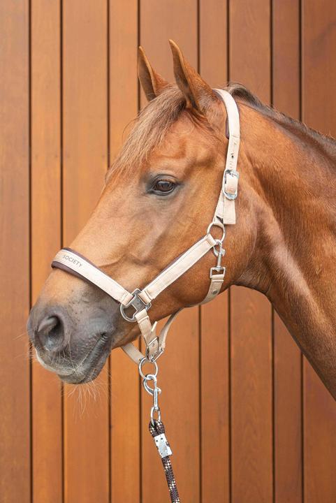 Immagine prodotto Harry's Horse Satin Eli