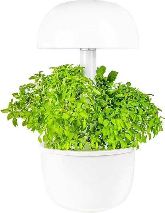 Plantui Smart Garden 3e (Keimlinge)