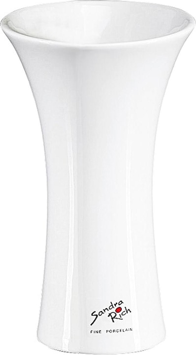 Actual product image Sandra Rich Tulip (6 x, Ø 10.5 x 17 cm)