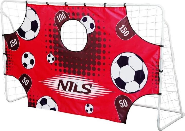 Nils BR240P 2in1 TOR MIT NETZ UND ZIELSCHEIBE 240x150cm