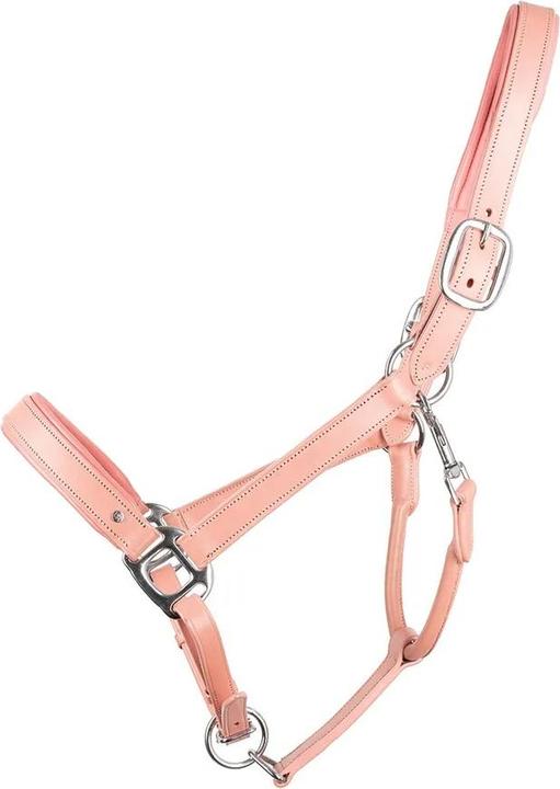 Hy Equestrian Pferdehalfter Serena Leder