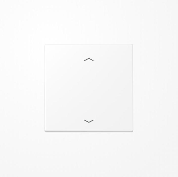 Actual product image JUNG ARB1 TEST LS990PWWM