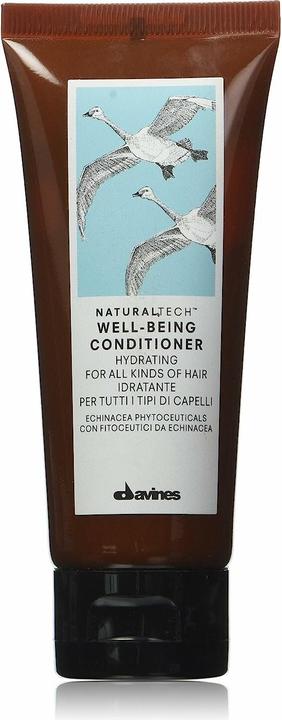 Actual product image Davines Naturaltech - Well Being Conditioner (60 ml)