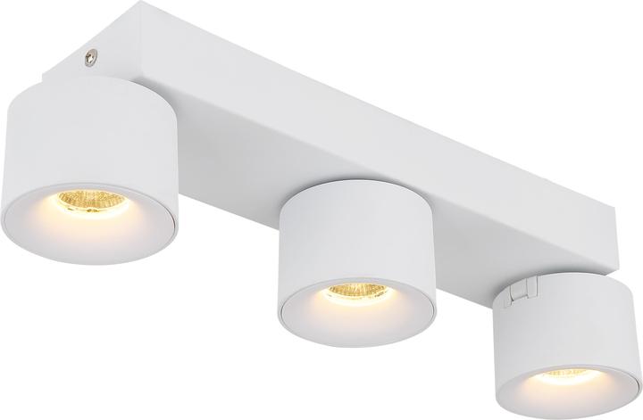 Actual product image Globo Rae