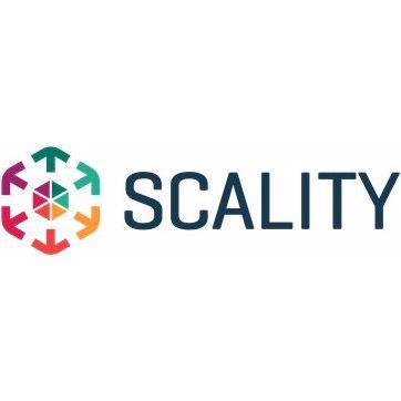 HPE Scality RING Engineer Professional Services - Lizenz, Server Zubehör