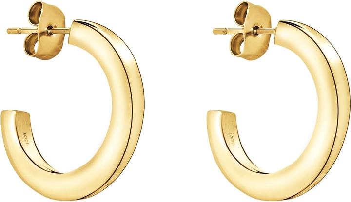 Produktbild Creolen (Edelstahl)