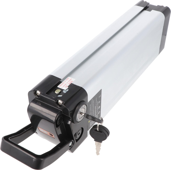 Actual product image AccuCell Phylion XH370-10J e-bike battery 36/37V 12Ah 432Wh Silver Fish (481 Wh, E-Bike battery)
