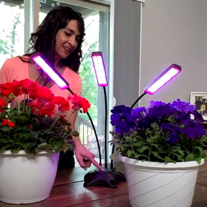 Produktbild MediaShop Bionic Grow