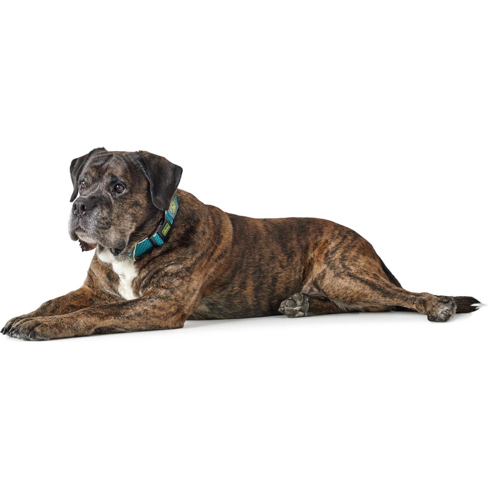 Thumbnail - Hunter Hundehalsband Hilo Vario Plus (XL, Hund, Allgemein), Halsband + Leine