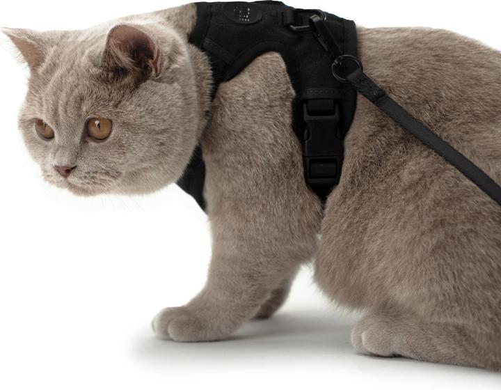 Produktbild LucyBalu EXPLORER Katzengeschirr (XS, S, Katze, Allgemein)