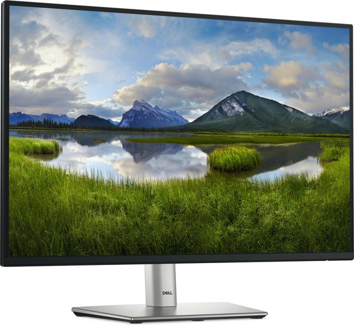 Dell P2425 (1920 x 1200 pixels, 24.07")