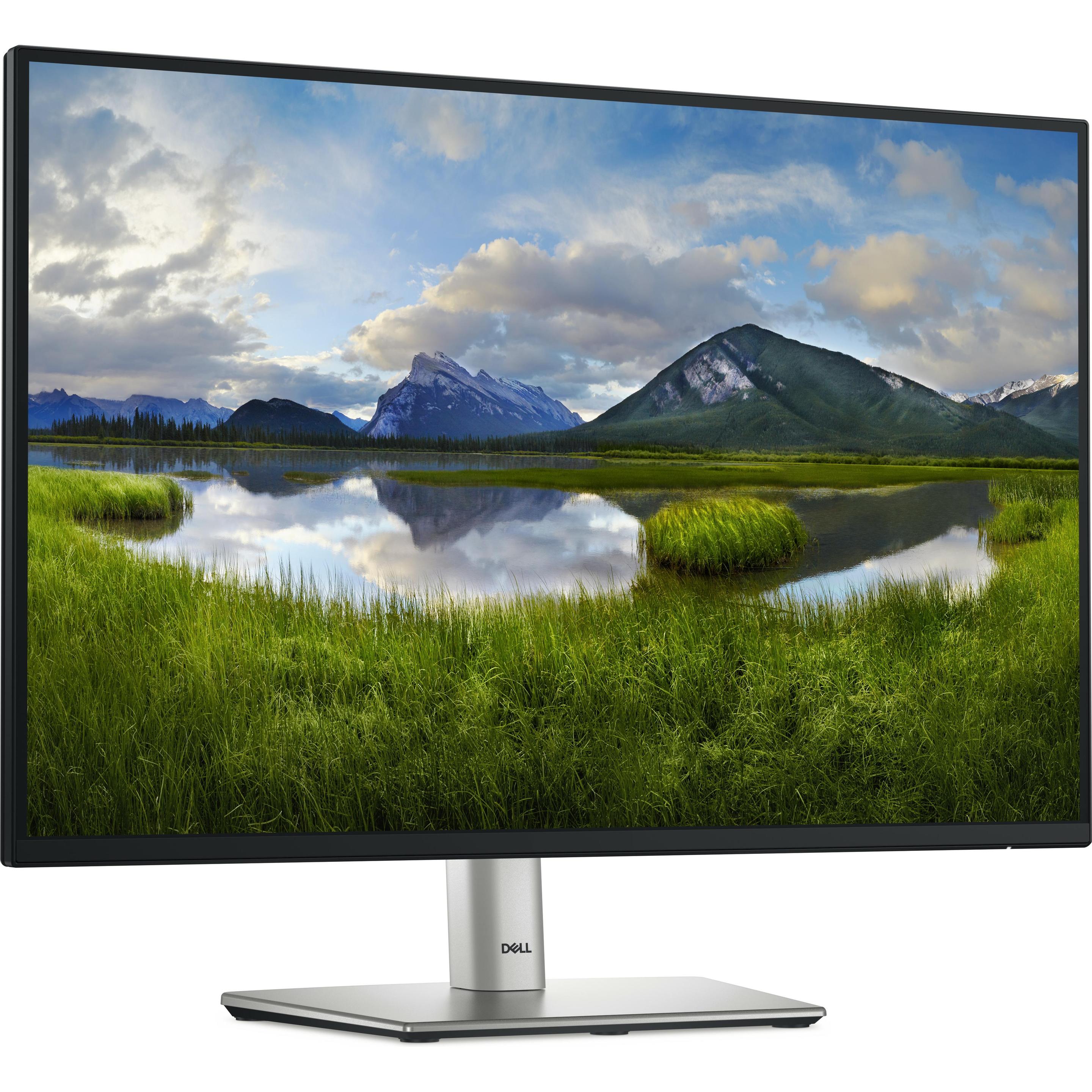 Dell P2425 (1920 x 1200 Pixel, 24.07"), Monitor