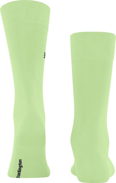 Produktbild Burlington Dublin (Einzelpack, 40 - 46)