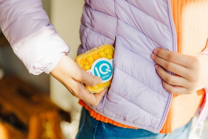 Actual product image Smart Games IQ Mini (assorted - 1 piece) (French, German, Italian, 1 Players)