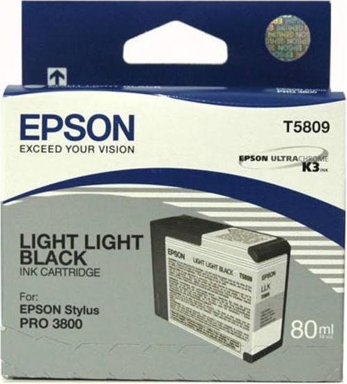 Actual product image Epson T5809 (FC, GY)