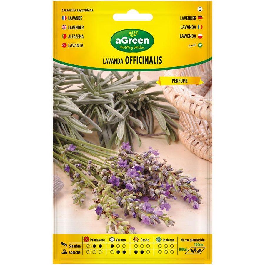Agreen, Semi, On seeds lavender officinalis 301031bolsh (Semi di erbe)