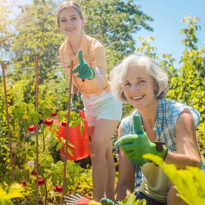 Immagine prodotto Relaxdays Aiuto per l'arrampicata (22 cm, 22 cm)