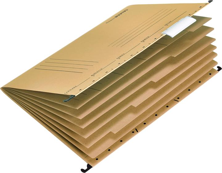 Actual product image Falken Personal folder UniReg DIN A4 230g/m² with organisation print Kraft cardboard natural brown (A4, 20x)