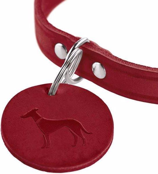 Produktbild Hunter Halsband Aalborg (32, 33, 34, 35, 36, 37, 38, Hund, Hundesport)