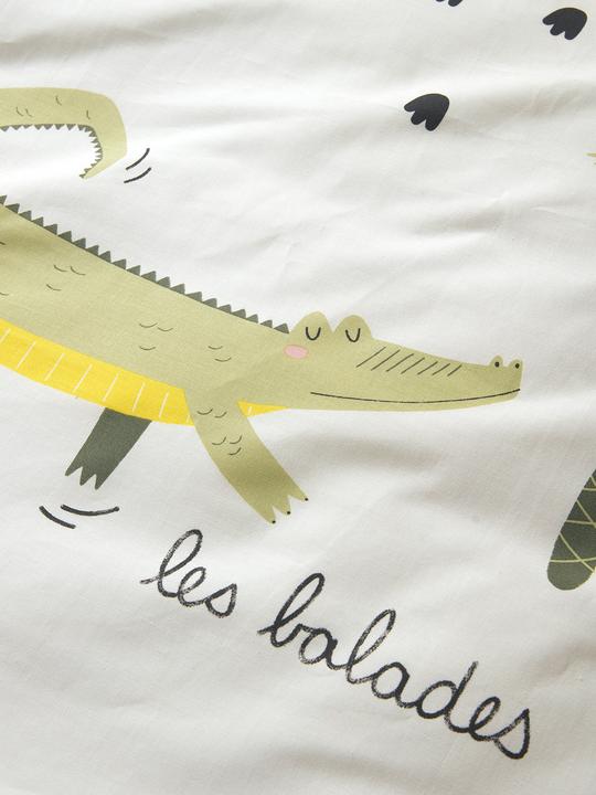 Crocodile, Multicolore