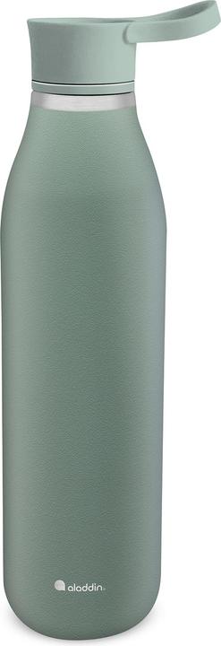 Actual product image Aladdin CityLoop Thermavac eCycle Drink Bottle 0.6L Sage Green (0.60 l)