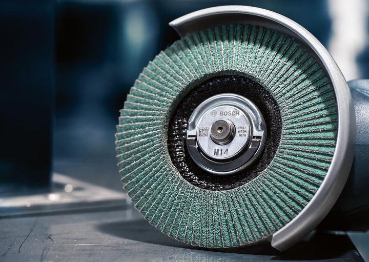 Actual product image Bosch Professional Zubehör Fächerschleifscheibe X581 (60)